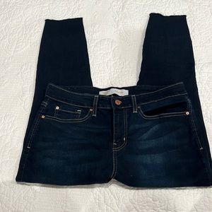 Levi’s Mid Rise Skinny Dark Wash size 10